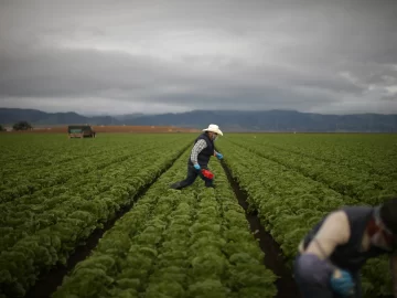 Immigrants are joining the U.S. workforce at much higher levels than normal