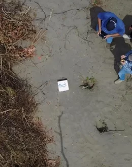 Remains of at least 13 bodies found in Mexico’s Veracruz state