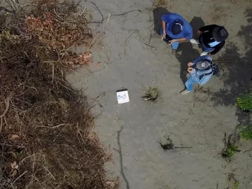 Remains of at least 13 bodies found in Mexico’s Veracruz state