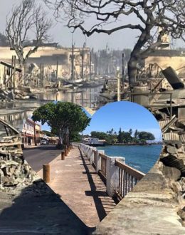 Hawaii’s governor warns that scores more people could be found dead 