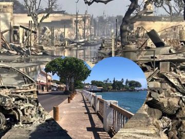 Hawaii’s governor warns that scores more people could be found dead 