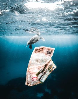 Human behavior is the cause of catastrophic climate change