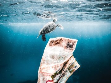 Human behavior is the cause of catastrophic climate change