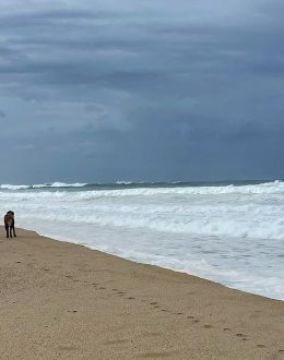 Gov. Newsom declares state of emergency for Southern California