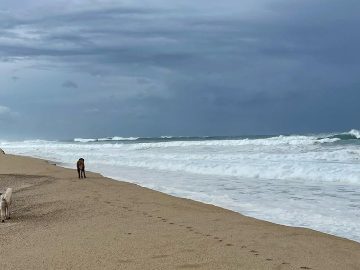 Gov. Newsom declares state of emergency for Southern California