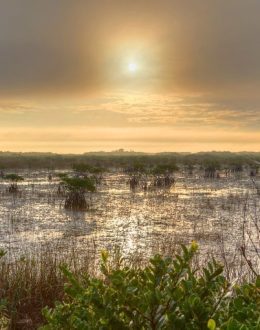 Tropical Storm Idalia descends on NC after pounding Florida, Georgia and South Carolina