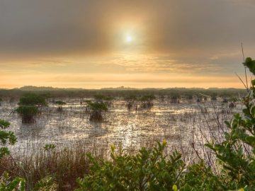 Tropical Storm Idalia descends on NC after pounding Florida, Georgia and South Carolina