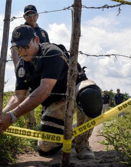 Mexican cartels are 5th largest employers in the country, alarming study finds