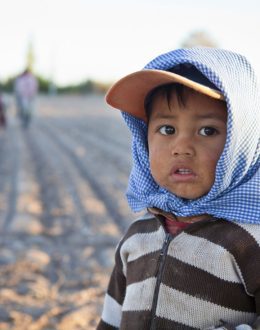 16.8% of Latinos — 10 million — nationally lived in poverty in 2022