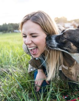 Be careful with these signs of affection from dogs, they can make you sick