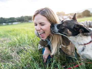 Be careful with these signs of affection from dogs, they can make you sick