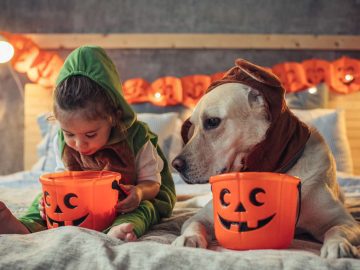 Humans aren’t unique in our weird attraction to being terrified