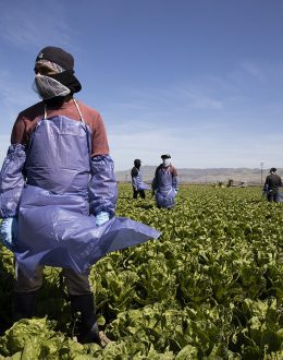 Migrants in U.S.: “They are exploitative by design.”