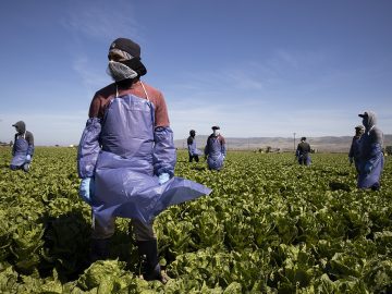 Migrants in U.S.: “They are exploitative by design.”