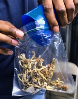 Newsom vetoes decriminalization of psychedelics, calls for further study