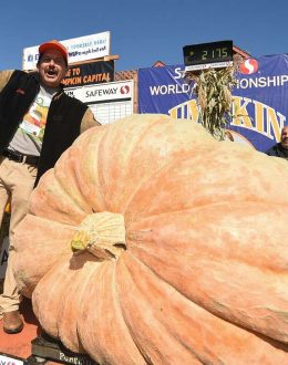 Pumpkin weighing 2,749 pounds wins California contest, sets world record for biggest gourd