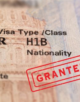 Seven in 10 voters surveyed support increasing the number of skilled immigrants