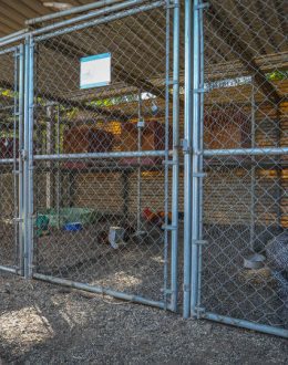 Councilmember Hernandez Introduces Legislation to Halt Issuance of Breeding Permits, Calls Special Meeting To Address Crisis in Animal Shelters