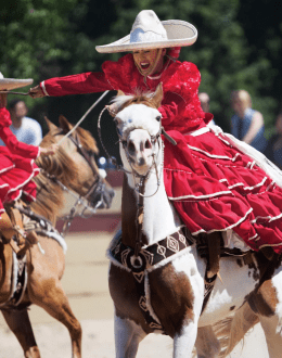 Councilwoman Monica Rodriguez Leads Legislative Fight to Protect Equestrian Cultural Heritage