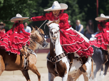 Councilwoman Monica Rodriguez Leads Legislative Fight to Protect Equestrian Cultural Heritage