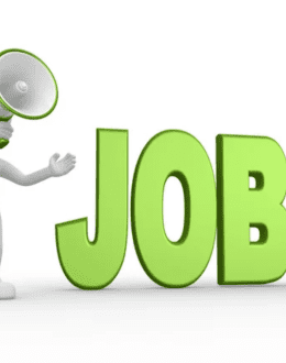 JOBS-Targeted Local Programs