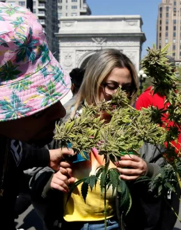 Report: 9 facts about Americans and marijuana