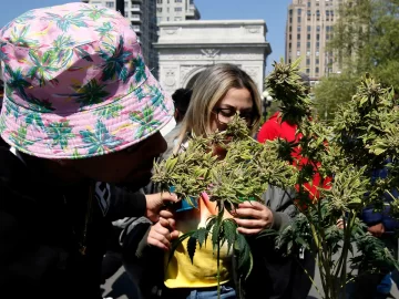 Report: 9 facts about Americans and marijuana