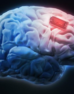 Fully bilingual? Get a brain implant