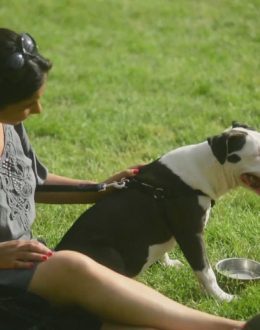 The first extreme wave of heat arrives; drink plenty of water and stay hydrated throughout the day