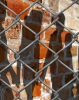 New study provides first nationwide window on juvenile ‘lifer’ population