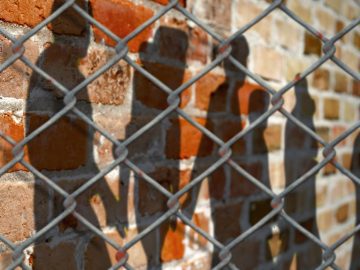 New study provides first nationwide window on juvenile ‘lifer’ population