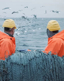 Latinos in the US Workforce Have Some of the Most Dangerous Jobs