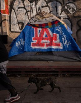 Finding shelter may someday be a click away