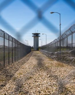 ‘Predictable and preventable’ heat deaths in prisons