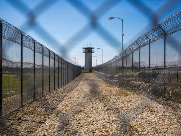 ‘Predictable and preventable’ heat deaths in prisons