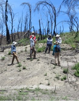 Scientists offer climate solutions for sustainability in California. Climate change is already here