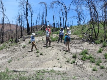 Scientists offer climate solutions for sustainability in California. Climate change is already here