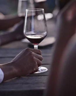 Older Adults Do Not Benefit even from light Drinking, Large Study Finds