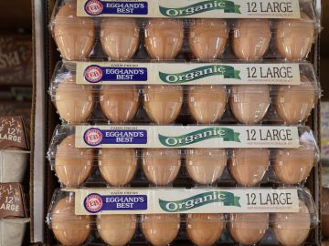 Eggs, gasoline and car insurance: Where inflation has hit Americans hardest