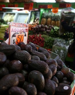 Pressure on avocados: California upset over US decision to hand over pest inspections to Mexico
