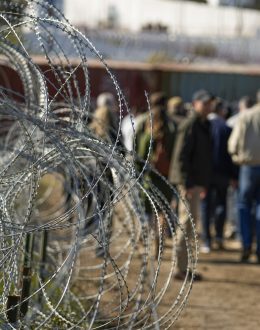 Trump vs. Harris on immigration: Future policy proposals