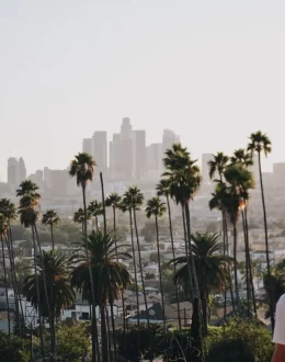 Renting in Los Angeles: A Not-So-Pretty Picture