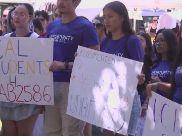 UC undocumented students are mobilizing for AB 2586, which would allow them to work on campuses