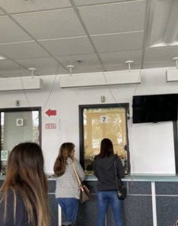 Pros and cons to consider when choosing a business type