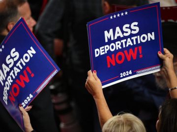 Humanitarian parole, TPS and DACA: Everything is at stake in these elections