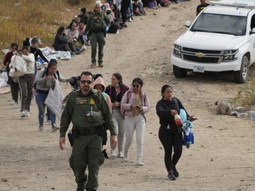 Migrant encounters at U.S.-Mexico border have fallen sharply in 2024