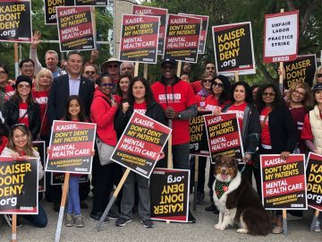 Mental health crises: Workers on strike, others leaving the profession and a billion-dollar industry