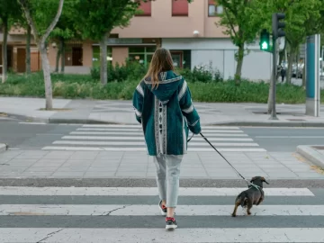 Do you feel lonely? Maybe it’s your job