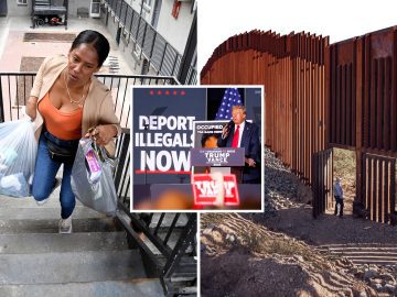 Mass Deportation: More details of Trump’s plan revealed