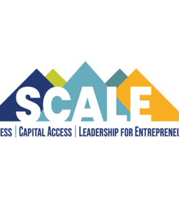 CALIFORNIA SMALL BUSINESS SUPPORT NETWORK